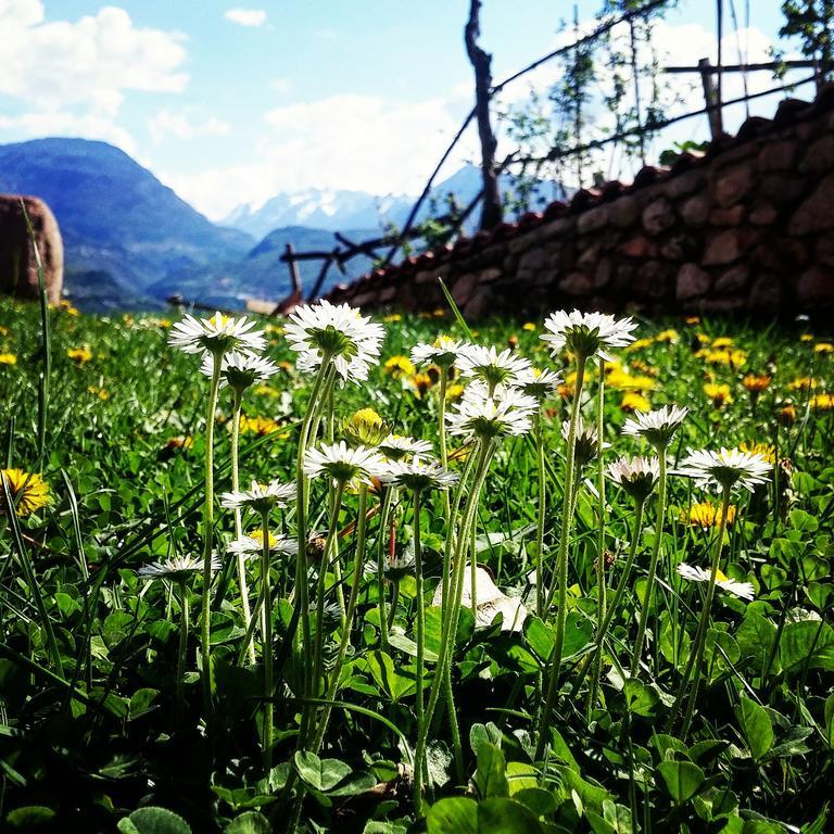 Agritur Maso Spezial Villa Lagarina Exterior foto