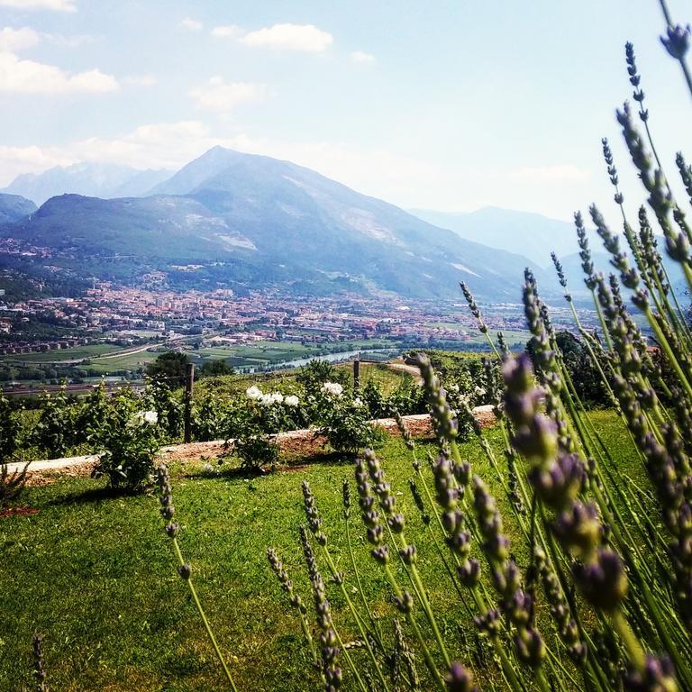 Agritur Maso Spezial Villa Lagarina Exterior foto